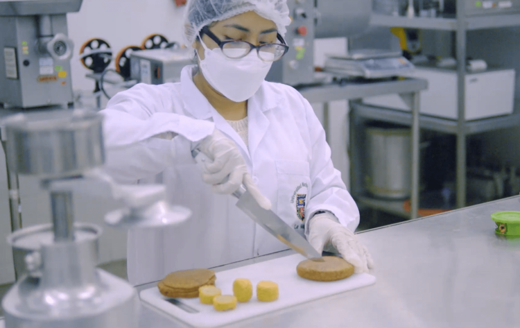 Empresa peruana produce carne vegetal a base de sacha inchi